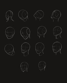 a bunch of different types of head shapes