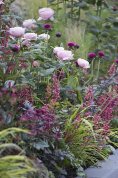 some pink flowers are in the middle of green plants and purple flowers on the other side