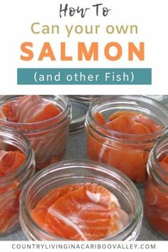 jars filled with fish sitting on top of a counter