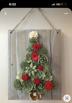 a christmas tree made out of succulents hanging on a wall