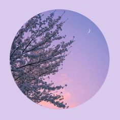 a tree with white flowers and a half moon in the sky above it, as seen through a circular window