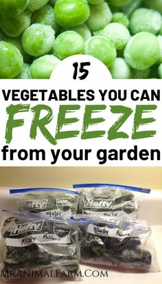 green vegetables are shown with text overlay that reads 15 vegetables you can freeze from your garden