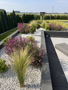 an outdoor garden with gravel, rocks and plants