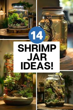 there are four different types of fish in jars with the words shrimp jar ideas on them