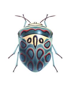 a close up of a bug on a white background with red, blue and green designs