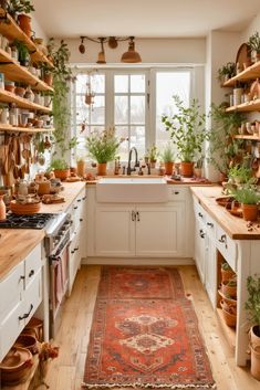 a kitchen filled with lots of potted plants next to a sink and stove top oven