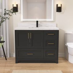 a white toilet sitting next to a bathroom sink under a mirror above a counter top