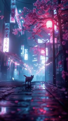 a cat is standing on the street in front of some buildings at night with bright lights