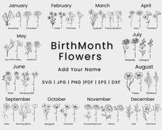 the birth month flowers are shown in black and white