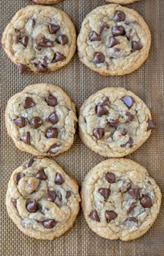 chocolate chip cookies on a baking sheet