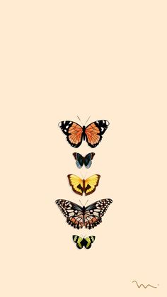 four butterflies flying in the air on top of each other's wings, all with different colors