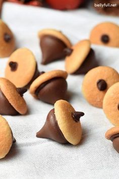 chocolate covered cookies are arranged on a white cloth