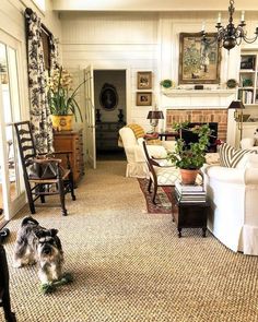 a dog standing in the middle of a living room with furniture and decor on either side