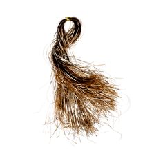 a brown and black fly with long hair on it's end, against a white background