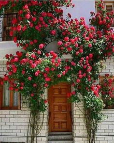 red flowers growing on the side of a white brick building with stairs leading up to it