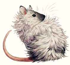 a drawing of a mouse with long hair