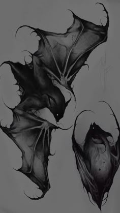 some sort of art work with black and white ink on paper that looks like bat wings