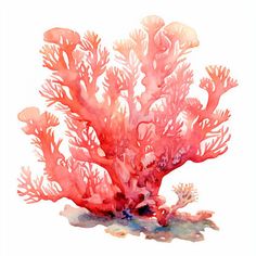 Coral Clipart in Impressionistic Art Style Art: High-Res 4K & Vector Coral Clipart, Coral Painting, Publishing Industry, Impressionistic Art, Coral Art, Large Format Printing, Impressionist Art, Print Advertising, Magazine Layout