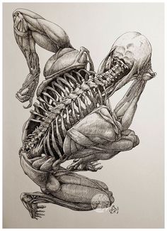 a drawing of a skeleton sitting on top of an animal's back legs and head