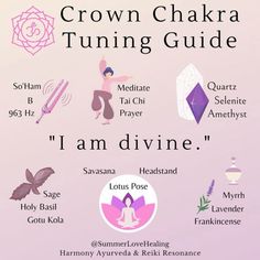 Lotus Pose, Holy Basil, Crown Chakra, Chinese Medicine, Chakra Healing, Tai Chi, Spiritual Journey, Ayurveda, Reiki