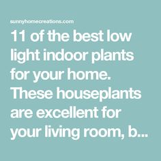 the words 11 of the best low light indoor plants for your home these houseplants are excellent for your living room, b