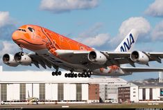 an orange and white airplane is taking off from the runway in front of some buildings