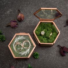 two wedding rings in an open box with moss on the ground next to leaves and flowers