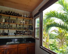 a kitchen with lots of bottles on the shelves and plants in the window sill