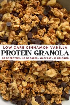 low carb cinnamon vanilla protein granola in a bowl with chocolate chips on top