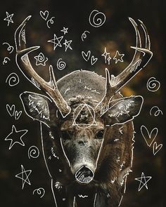 a deer with antlers on it's head surrounded by stars and other symbols