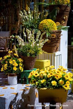 yellow and white flowers are in baskets on the table outside, along with other plants