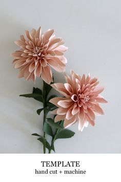 two pink flowers with the words online template