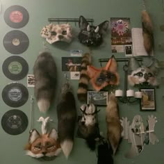 there are many different types of animal heads on the wall in this room, including cats and dogs