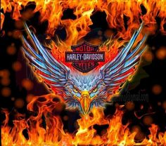 the harley davidson logo on fire with flames around it and an eagle in the center