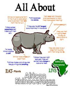 the rhinoceros are all about and labeled in different languages, including their names