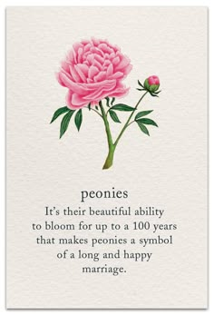 a pink flower on top of a white card with the words, peonies it's their beautiful ability to bloom for 10 years that makes ponies a symbol of a happy marriage