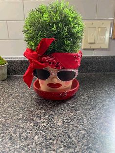 a potted plant with sunglasses and a red bow on it's head sitting on a counter