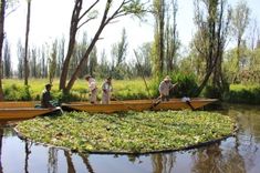 Chinampas of Mexico City were recognized as an Agricultural Heritage System of Global Importance | FAO Aztec Chinampas, Artificial Island, Narrow Garden, Floating Garden, Urban Agriculture, Wakayama, Gnome House, Sustainable Farming, Soil Health