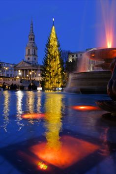 a christmas tree is lit in front of a fountain