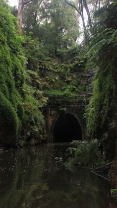 a tunnel in the middle of a forest filled with trees and bushes, surrounded by greenery