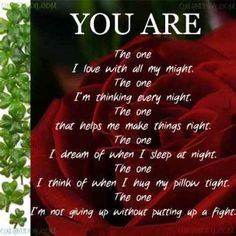 a red rose with the words you are written on it and some green leaves in front of it