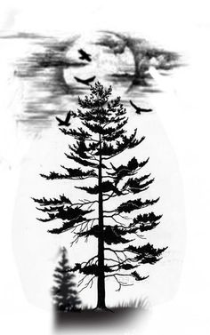 a black and white photo of a pine tree with birds flying around in the background