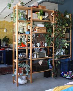 a room filled with lots of plants next to a wall mounted air planter on top of a wooden shelf