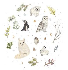 an illustration of polar bears and other animals in the snow with pine cones, firs,