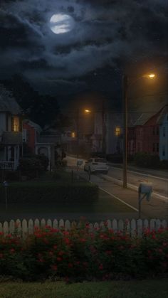 a full moon shines brightly in the night sky over a suburban street with red flowers