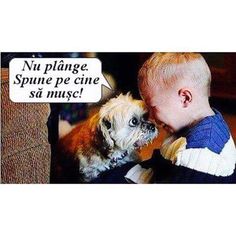 a little boy kissing a small dog with a caption above it that says, nu plage spune pe cie sa musc