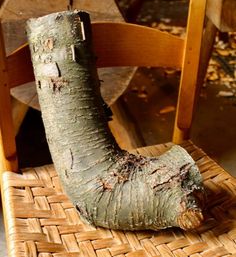 a tree trunk sitting on top of a wooden chair