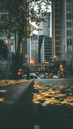 the leaves are falling on the ground in front of tall buildings and skyscrapers at night