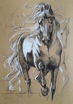 a drawing of a horse running with its head turned to the side and it's tail blowing in the wind