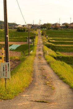 an empty dirt road in the middle of a green field with power lines above it